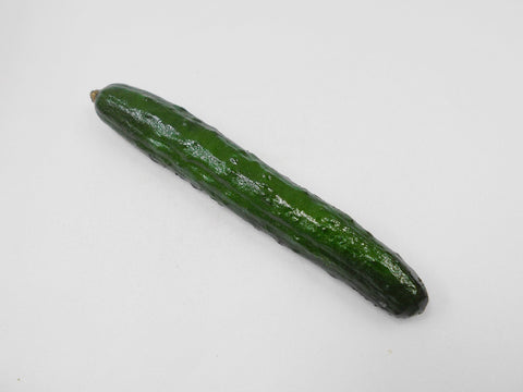 Whole Cucumber (small) Magnet